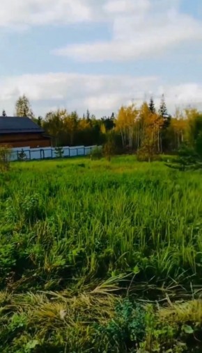 ДП Родной в Кировграде - kirovgrad.yutvil.ru