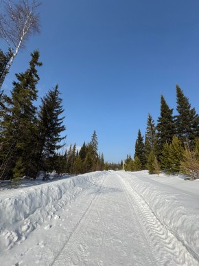 ДП Родной в Кировграде - kirovgrad.yutvil.ru - фото 7