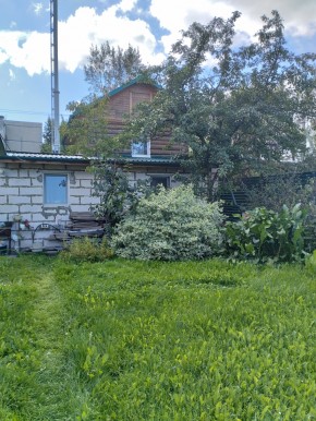 Коллективный сад номер 7, участок 58 в Кировграде - kirovgrad.yutvil.ru - фото 21
