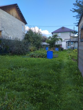Коллективный сад номер 7, участок 58 в Кировграде - kirovgrad.yutvil.ru - фото 26
