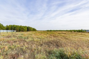 Российская Федерация, Свердловская область, Сысертский городской округ, территория садоводческого некоммерческого товарищества Бобровские дачи, улица Каштановая, земельный участок № 38 в Кировграде - kirovgrad.yutvil.ru - фото 16