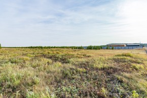 Российская Федерация, Свердловская область, Сысертский городской округ, территория садоводческого некоммерческого товарищества Бобровские дачи, улица Каштановая, земельный участок № 38 в Кировграде - kirovgrad.yutvil.ru - фото 24