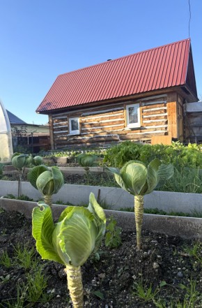 СНТ Дорожник, 97 в Кировграде - kirovgrad.yutvil.ru - фото 19