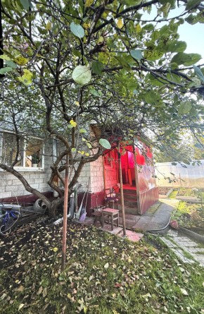 СНТ Дорожник, 97 в Кировграде - kirovgrad.yutvil.ru - фото 4