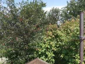 СНТ Медик-2 в Кировграде - kirovgrad.yutvil.ru - фото 4