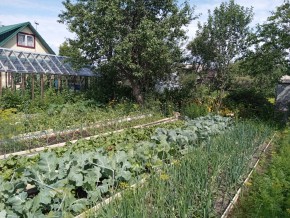 СНТ Медик-2 в Кировграде - kirovgrad.yutvil.ru - фото 5