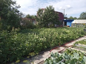 СНТ Медик-2 в Кировграде - kirovgrad.yutvil.ru - фото 6