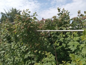 СНТ Медик-2 в Кировграде - kirovgrad.yutvil.ru - фото 8