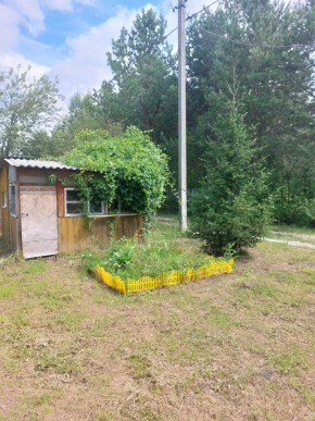 СНТ Родники в Кировграде - kirovgrad.yutvil.ru - фото 1