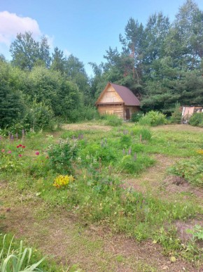 СНТ Родники в Кировграде - kirovgrad.yutvil.ru - фото 2