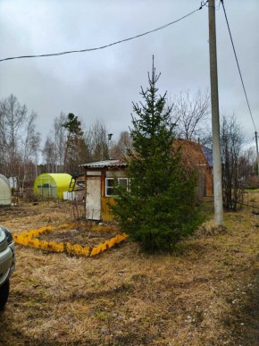 СНТ Родники в Кировграде - kirovgrad.yutvil.ru - фото 5 СНТ Родники в Кировграде - kirovgrad.yutvil.ru - фото 5