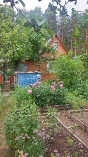 СНТ Садовод-24 в Кировграде - kirovgrad.yutvil.ru