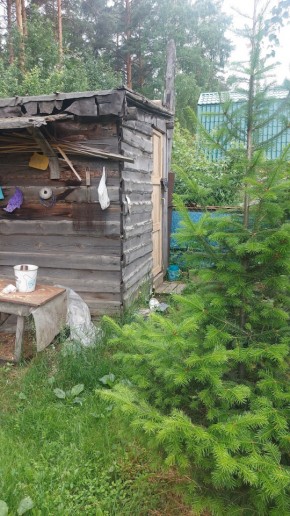 СНТ Садовод-24 в Кировграде - kirovgrad.yutvil.ru - фото 13