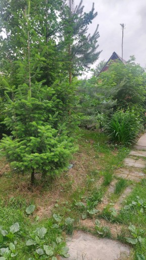 СНТ Садовод-24 в Кировграде - kirovgrad.yutvil.ru - фото 15