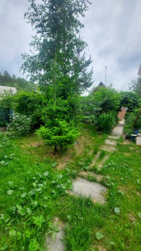 СНТ Садовод-24 в Кировграде - kirovgrad.yutvil.ru - фото 16