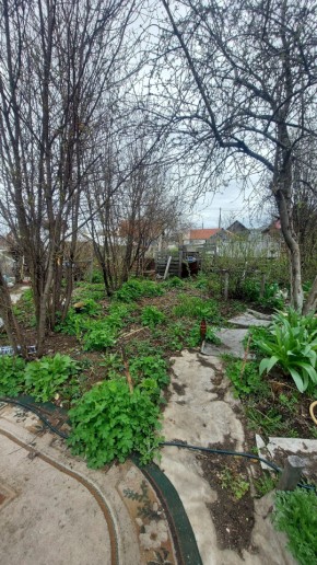 СНТ Сирень, уч. 38 в Кировграде - kirovgrad.yutvil.ru - фото 7