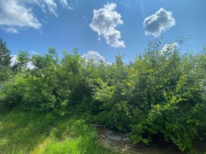 СПК Юбилейный, уч. 9 в Кировграде - kirovgrad.yutvil.ru - фото 9
