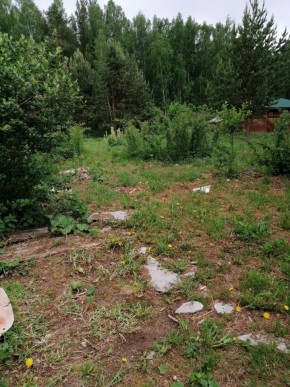 СТН Семья №112, Верхняя пышма на землях бывшего подсобного хозяйтва верхнепышминского опытного завода в Кировграде - kirovgrad.yutvil.ru - фото 17 СТН Семья №112, Верхняя пышма на землях бывшего подсобного хозяйтва верхнепышминского опытного завода в Кировграде - kirovgrad.yutvil.ru - фото 17