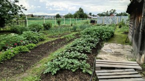 ул. 8-е Марта,46 в Кировграде - kirovgrad.yutvil.ru - фото 5 ул. 8-е Марта,46 в Кировграде - kirovgrad.yutvil.ru - фото 5