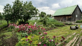 ул. 8-е Марта,46 в Кировграде - kirovgrad.yutvil.ru - фото 6 ул. 8-е Марта,46 в Кировграде - kirovgrad.yutvil.ru - фото 6