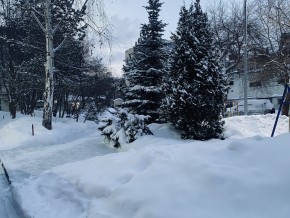 ул. 8 Марта,7 в Кировграде - kirovgrad.yutvil.ru - фото 20 ул. 8 Марта,7 в Кировграде - kirovgrad.yutvil.ru - фото 20