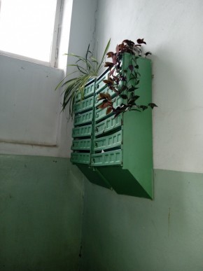 ул. Бажова,11 в Кировграде - kirovgrad.yutvil.ru - фото 2