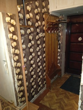 ул. Бажова,11 в Кировграде - kirovgrad.yutvil.ru - фото 9
