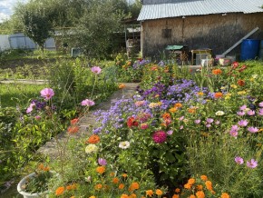 ул. Грачей,1 в Кировграде - kirovgrad.yutvil.ru - фото 28