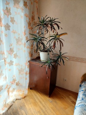 ул. Индустрии,29 в Кировграде - kirovgrad.yutvil.ru - фото 4 ул. Индустрии,29 в Кировграде - kirovgrad.yutvil.ru - фото 4