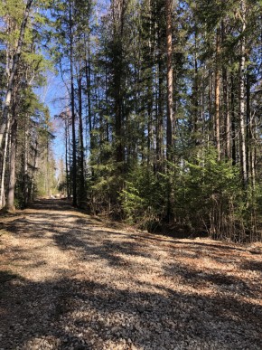 ул. Калиновая,9 в Кировграде - kirovgrad.yutvil.ru - фото 2 ул. Калиновая,9 в Кировграде - kirovgrad.yutvil.ru - фото 2