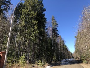 ул. Калиновая,9 в Кировграде - kirovgrad.yutvil.ru - фото 4 ул. Калиновая,9 в Кировграде - kirovgrad.yutvil.ru - фото 4