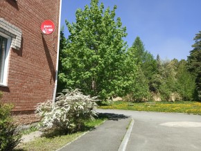 ул. Сосновая, 8 в Кировграде - kirovgrad.yutvil.ru - фото 25 ул. Сосновая, 8 в Кировграде - kirovgrad.yutvil.ru - фото 25