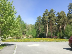 ул. Сосновая, 8 в Кировграде - kirovgrad.yutvil.ru - фото 26 ул. Сосновая, 8 в Кировграде - kirovgrad.yutvil.ru - фото 26