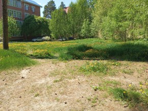 ул. Сосновая, 8 в Кировграде - kirovgrad.yutvil.ru - фото 33 ул. Сосновая, 8 в Кировграде - kirovgrad.yutvil.ru - фото 33