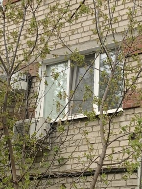 ул. Таганская,8 в Кировграде - kirovgrad.yutvil.ru - фото 14