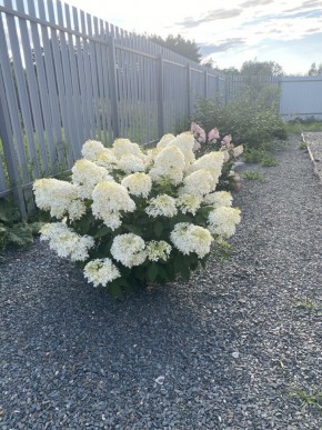 ул. Весенняя,12 в Кировграде - kirovgrad.yutvil.ru - фото 20