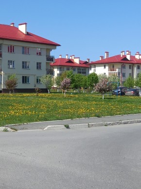 ул. Высокая,7 в Кировграде - kirovgrad.yutvil.ru - фото 2